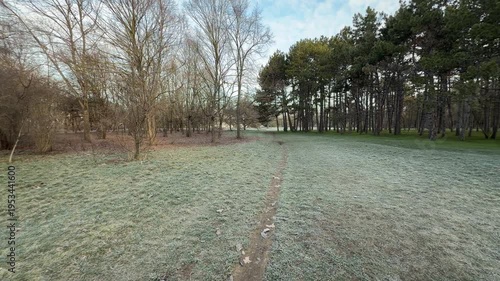 Wallpaper Mural A single dirt footpath divides two fields of thick white frost. The contrast between the cold grass and the dark trees creates a feeling of quiet wonder and crisp morning solitude. Torontodigital.ca