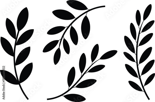 Botanical leaf branch silhouettes set, elegant foliage elements for natural decorative design vector