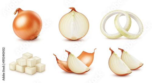 Collection of whole, halved, sliced, diced, and ring onions
