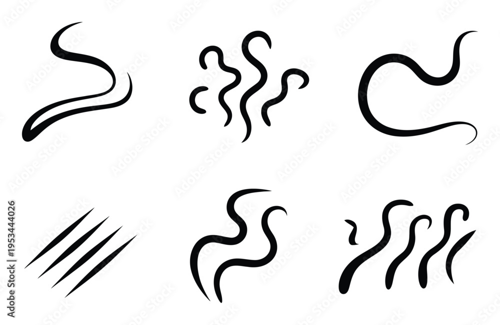 Fototapeta premium Collection of Abstract Black Swirls, Wiggles, and Lines on White Background