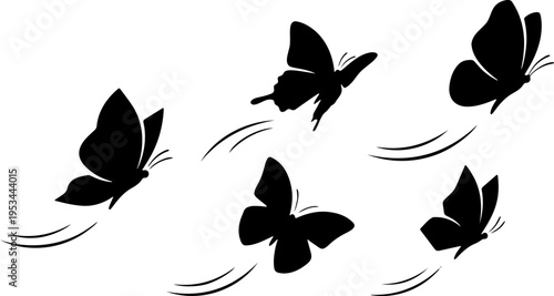 Flying Butterflies

