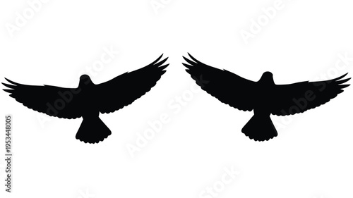 Two birds in flight wings spread widely a striking silhouette