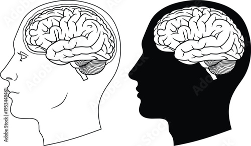 Human Head Silhouette Profile Set Featuring Anatomical Brain Illustration in Black and White Line Art for Neuroscience Mental Health Psychology and Medical Education Research Design.