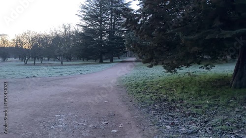 Wallpaper Mural A dirt trail leads into a quiet park filled with tall cedar trees and frost-covered grass. The cool morning air feels fresh and lonely. This calm scene offers a peaceful escape into nature. Torontodigital.ca