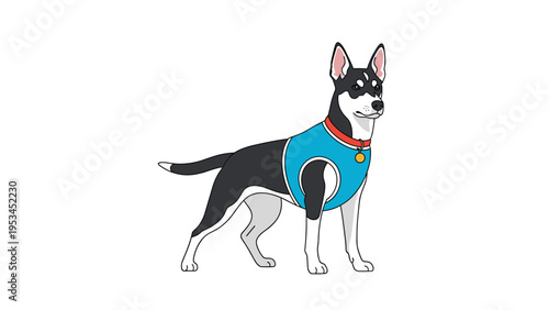 Realistic vector illustration of a black and white dog standing proudly while wearing a bright blue utility vest with a red collar.