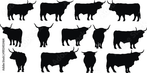 Bull silhouettes collection, cattle set, farm animals, livestock illustration, horned cows, agricultural animals, rural farming, black isolated vector design