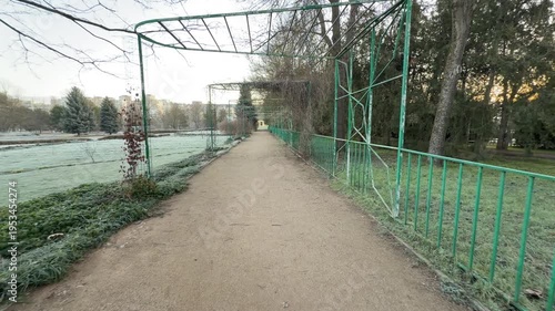 Wallpaper Mural Tall green trellises frame a long dirt walkway leading through the park. The surrounding grass is white with frost, creating a lonely yet peaceful feeling on a cold winter morning. Torontodigital.ca