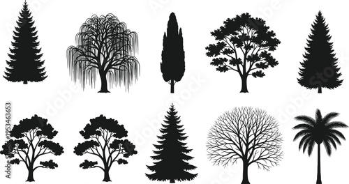 Collection of diverse black tree silhouettes including pine spruce willow cypress oak palm and bare winter branches for nature vector design