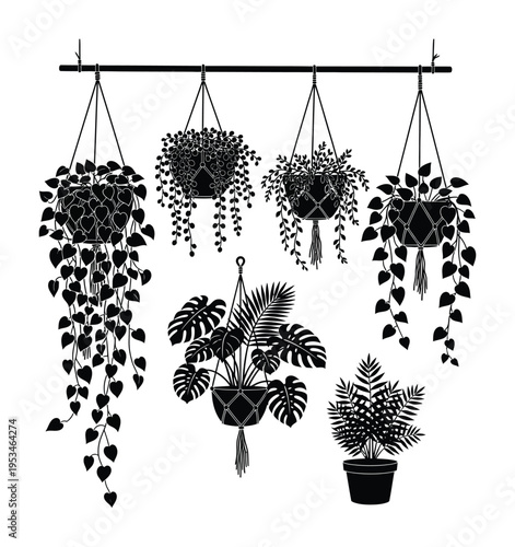 Vector showing hanging plants and pots attached to a horizontal bar