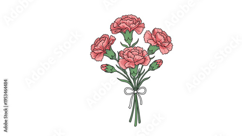 Beautiful bouquet of pink carnation flowers with green stems tied together with a delicate white bow isolated on a white background.