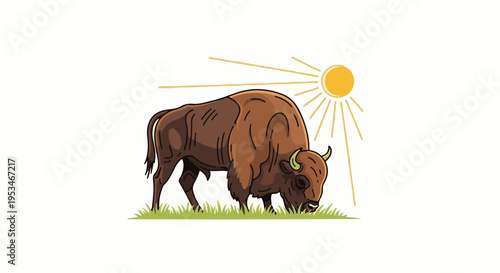 A brown bison grazes on green grass under a radiating sun