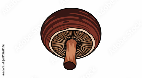 A brown mushroom viewed from underneath, showcasing gills and stem