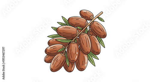 A bunch of brown dates with green leaves on a branch
