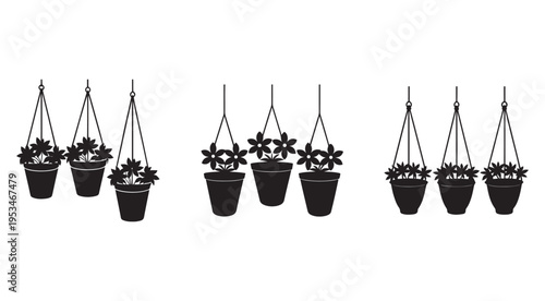 Hanging plants in pots with different leafy designs for decoration  indoor gardening  home decor