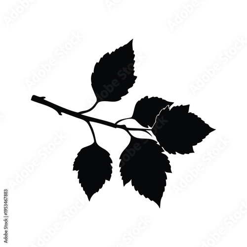 Silhouette of grape leaves on a branch, elegant black and white vector illustration, birch branch silhouette vector illustration