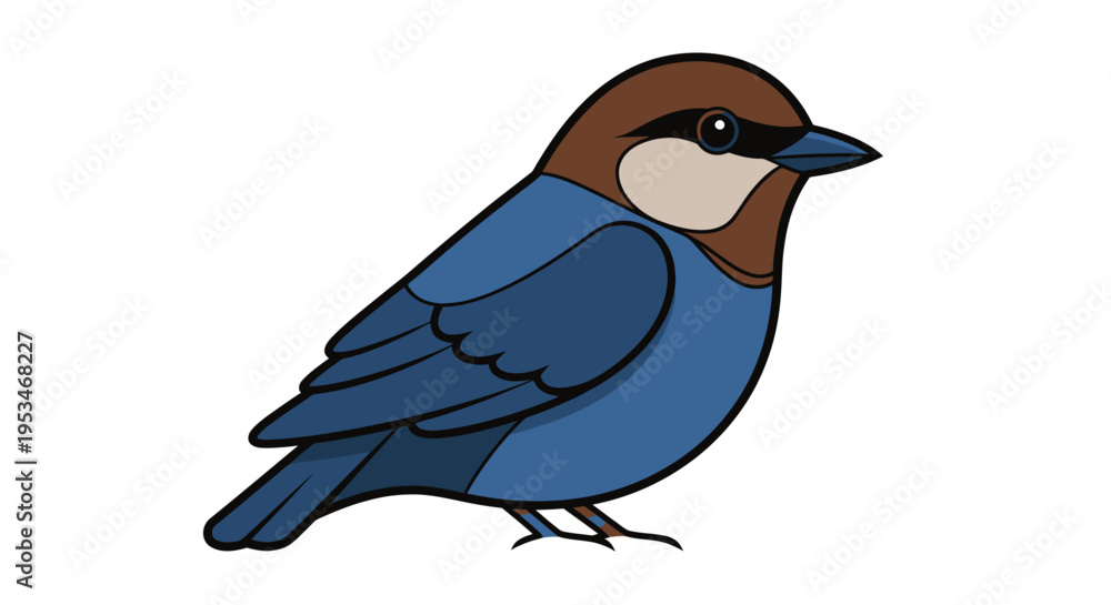 Obraz premium Blue and brown small bird standing.