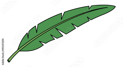 Green leaf illustration with serrated edges.