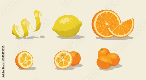 Assortment of Citrus Fruits: Lemons, Oranges, Kumquats, Sliced and Whole