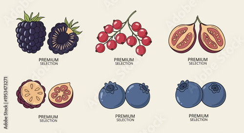 Assortment of Fresh Berries and Exotic Fruits, Premium Selection