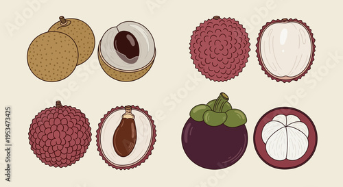 Exotic Tropical Fruits: Lychee, Longan, and Mangosteen, Whole and Halved