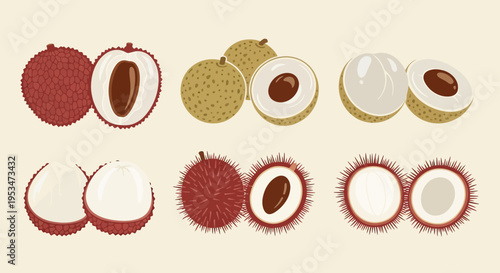 Exotic Tropical Fruits: Lychee, Longan, Rambutan - Whole and Halved