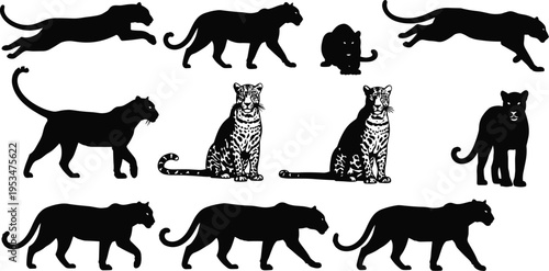 Collection of leopard and panther silhouettes featuring predatory wild cats jumping, walking, sitting, stalking, and standing icons for safari and wildlife design