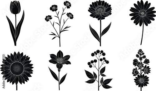 Set of eight black flower silhouettes including tulip sunflower and daisy isolated on white background for spring floral nature design