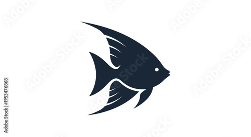 Black fish swimming in water.