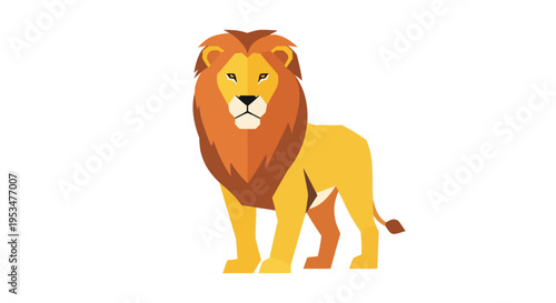 Lion Standing Facing Front View.