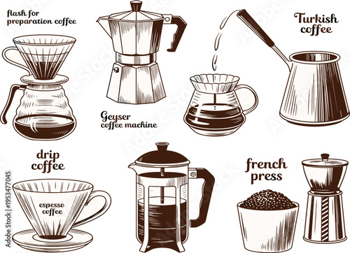 Vintage sunflower blossom vector, hand drawn botanical engraving, organic floral garden summer plant illustration design