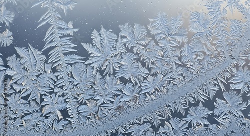 Close-Up of Intricate Frost Patterns on Windowpane: Nature's Delicate Artistry and Winter's Icy Touch Abstract Design