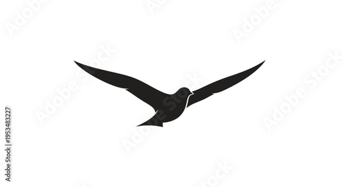 Bird in flight with outstretched wings.