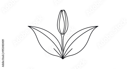 Simple line drawing of a flower.