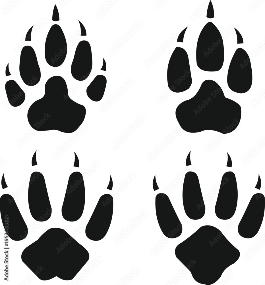Fototapeta premium Set of four black animal paw prints with claws, vector illustration of wild predator footprints