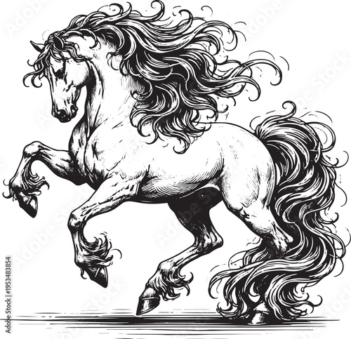 Rearing horse elegant stallion vintage engraving illustration