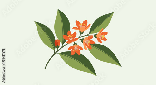 Vibrant orange flowers with green leaves.