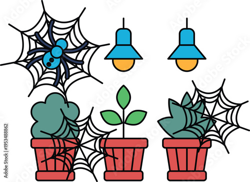 Spiders weave intricate webs above potted plants