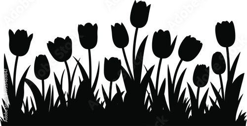 Tulip flowers silhouette border, spring garden floral grass composition for nature decorative design vector