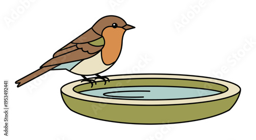 Brown bird on green water dish.