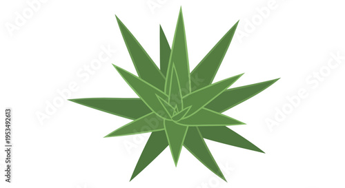 Green plant with sharp leaves closeup.