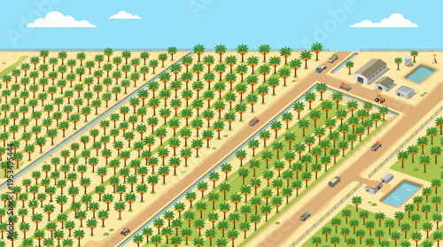 An organized flat design illustration of a date palm plantation from an aerial perspective, highlighting agricultural efficiency and growth.