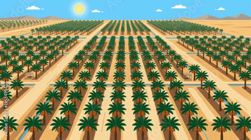 An organized flat design illustration of a date palm plantation from an aerial perspective, highlighting agricultural efficiency and growth.