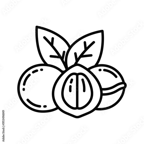 Nutmeg and Leaves Icon - Simple Line Art