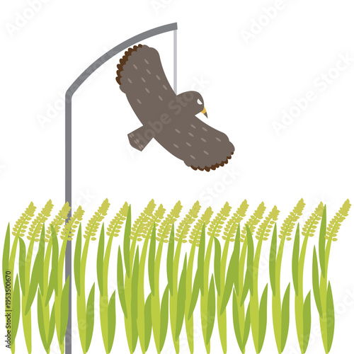 田んぼに設置された鳥よけカイトによる鳥害対策のイメージ素材