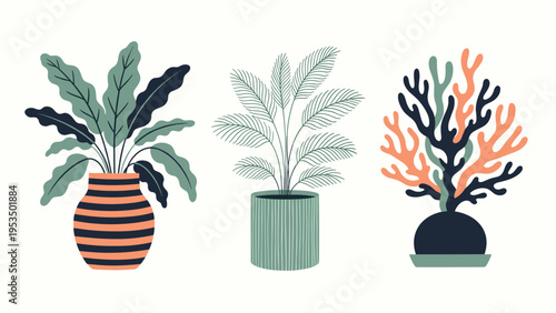 Set of three stylized indoor plants displays a large leaf plant, a palm, and a coral-like plant in uniquely patterned decorative pots.