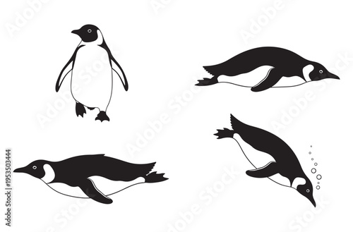 Four black silhouette emperor penguins on transparent background vector illustration aquatic birds swimming standing walking majestic birds
