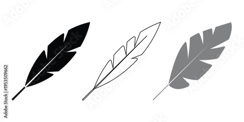 Vector feather, Bird feather symbol in line and solid style, Transparent PNG and illustration