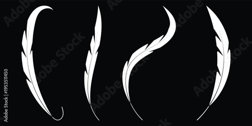 Minimalist white feather icons set on black background, vector illustration