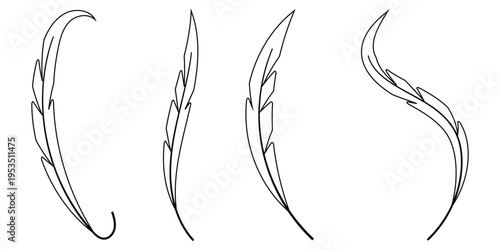 Minimalist feather line art set, elegant bird plumage vector icons
