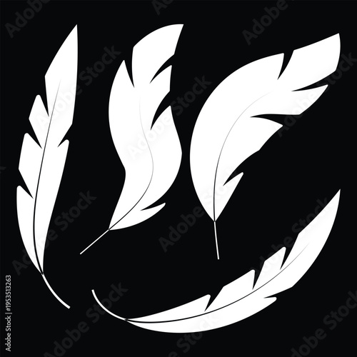 Set of white bird feather silhouettes isolated on black background